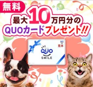 Quoカード10万円懸賞