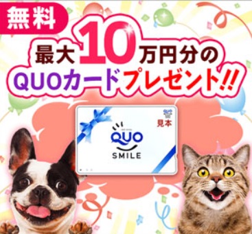 Quoカード10万円懸賞